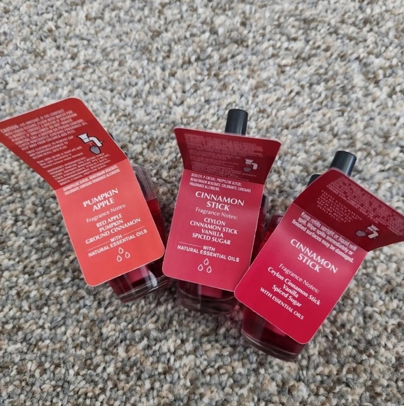 NWT 3-PIECE CINNAMON STICK & PUMPKIN APPLE WALLFLOWERS REFILLS - Picture 2 of 3